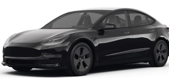 TESLA MODEL 3 2022 5YJ3E1EC2NF259377 image